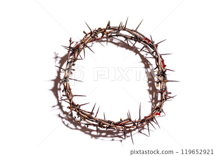 Crown of thorns Crown of thorns 119652921