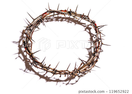 Crown of thorns Crown of thorns 119652922