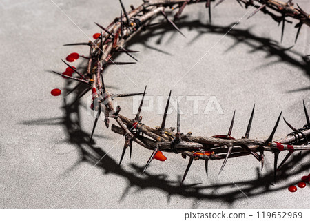 Crown of thorns with blood 119652969