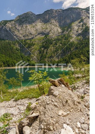 the austrian alps near gosau the austrian alps near gosau 119653194