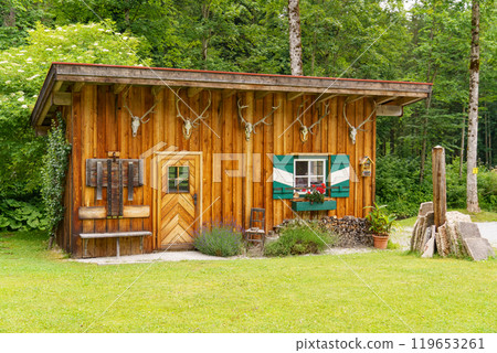 the austrian alps near gosau the austrian alps near gosau 119653261