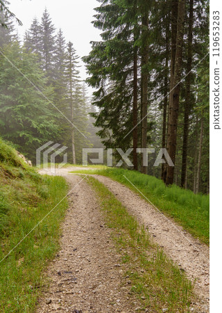 the austrian alps near gosau 119653283