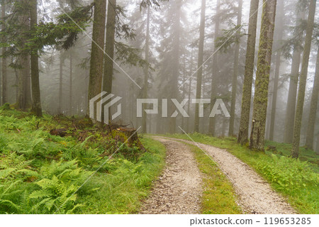 the austrian alps near gosau 119653285