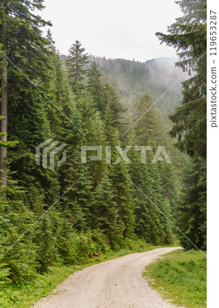 the austrian alps near gosau the austrian alps near gosau 119653287