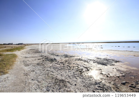Laguna Cejar, Atacama, Chile 119653449
