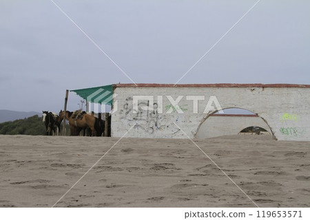 Beach at La Serena Chile 119653571