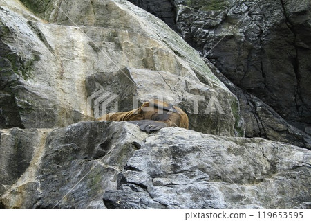 Isla Damas near La Serena Chile 119653595