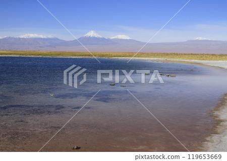 Laguna Cejar, Atacama, Chile 119653669