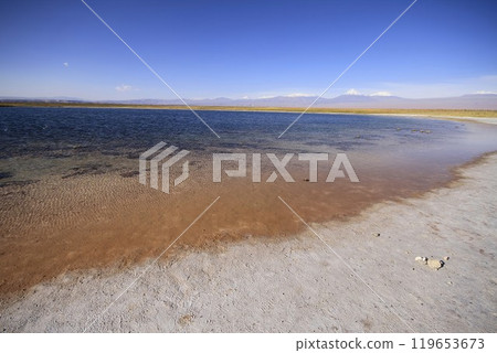 Laguna Cejar, Atacama, Chile 119653673
