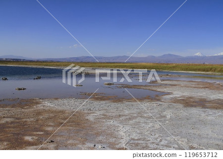 Laguna Cejar, Atacama, Chile 119653712