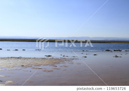 Laguna Cejar, Atacama, Chile 119653726