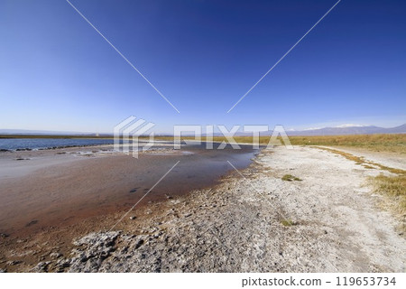 Laguna Cejar, Atacama, Chile 119653734