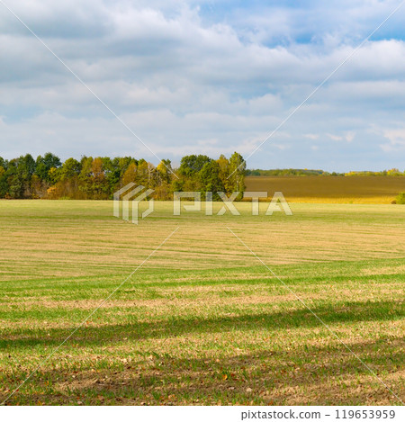 Harvested fields and meadows. rural autumn landscape. 119653959