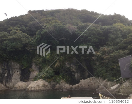 從碼頭探索鎌倉和江之島 2023 年版 從碼頭探索鎌倉和江之島 2023 年版 119654012