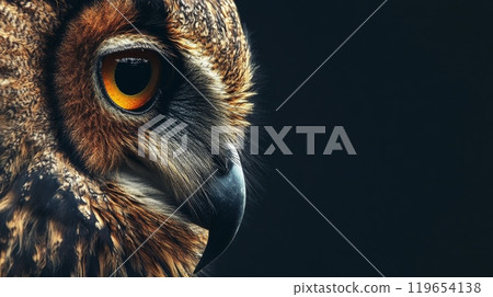 Eurasian eagle-owl staring with intense orange eyes Eurasian eagle-owl staring with intense orange eyes 119654138
