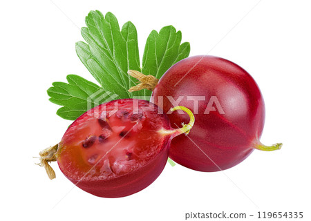 Red gooseberry isolated on white background with full depth of field. 119654335