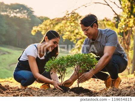 Tree planting 119654815