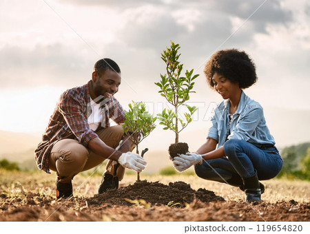 Tree planting Tree planting 119654820