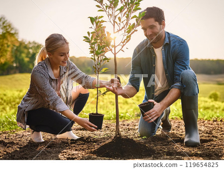 Tree planting 119654825
