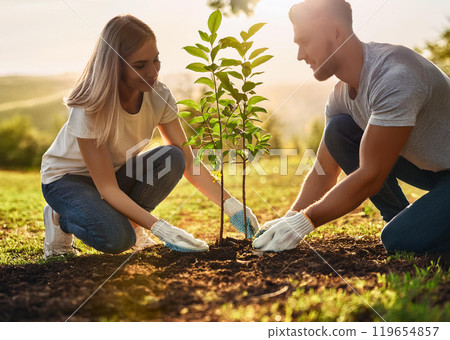 Tree planting 119654857