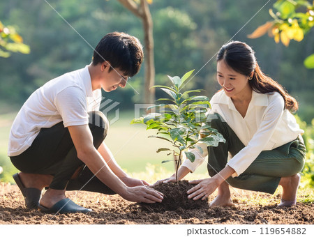 植樹 119654882