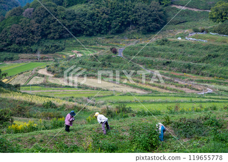 日本岡山縣久米郡三崎町大川西的美麗梯田 日本岡山縣久米郡三崎町大川西的美麗梯田 119655778