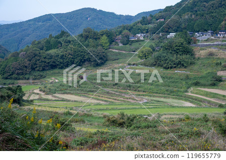 日本岡山縣久米郡三崎町大川西的美麗梯田 日本岡山縣久米郡三崎町大川西的美麗梯田 119655779