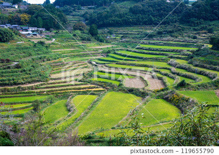 Beautiful Ohawanishi rice terraces in Misaki Town, Kume County, Okayama Prefecture, Japan Beautiful Ohawanishi rice terraces in Misaki Town, Kume County, Okayama Prefecture, Japan 119655790