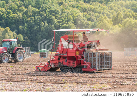 [Furano City: Onion harvest and tractor] 119655980