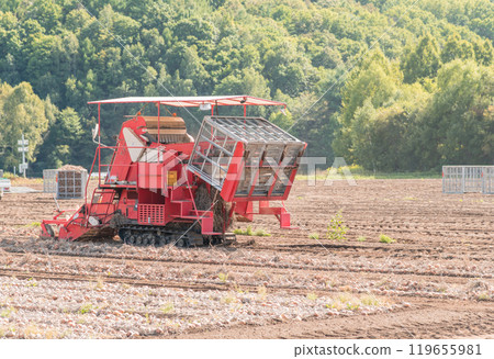 [Furano City: Onion harvest and tractor] 119655981