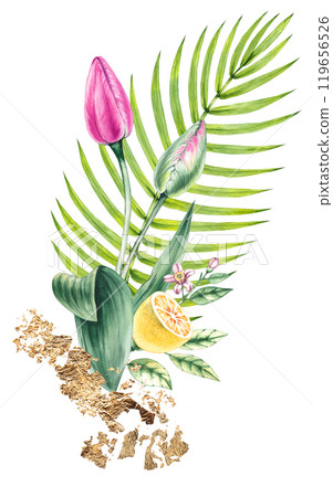 Floral collection hand drawn watercolor illustrations 119656526