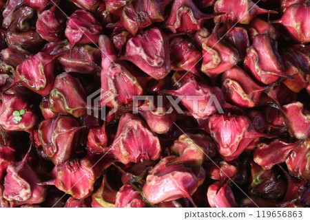 Water Chestnut Trapa natans fruit on shop Water Chestnut Trapa natans fruit on shop 119656863