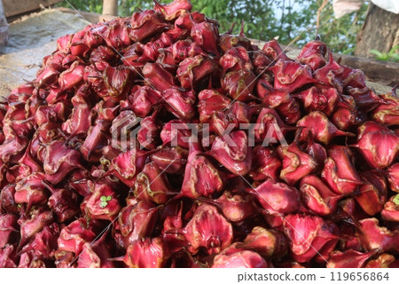 Water Chestnut Trapa natans fruit on shop Water Chestnut Trapa natans fruit on shop 119656864