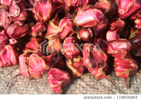Water Chestnut Trapa natans fruit on shop Water Chestnut Trapa natans fruit on shop 119656865