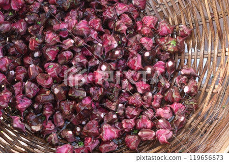 Water Chestnut Trapa natans fruit on shop Water Chestnut Trapa natans fruit on shop 119656873