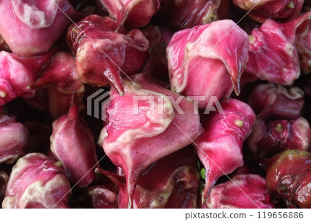 Water Chestnut Trapa natans fruit on shop Water Chestnut Trapa natans fruit on shop 119656886