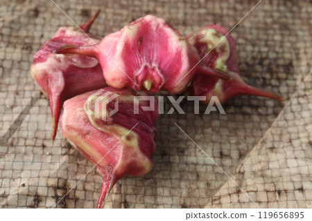 Water Chestnut Trapa natans fruit on shop Water Chestnut Trapa natans fruit on shop 119656895
