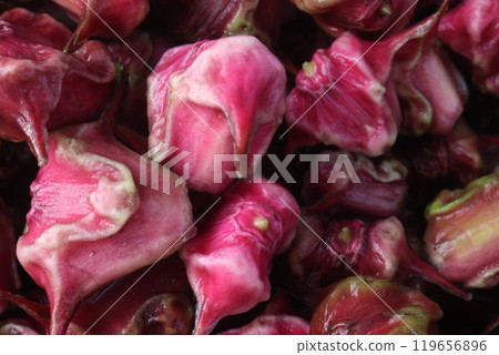 Water Chestnut Trapa natans fruit on shop Water Chestnut Trapa natans fruit on shop 119656896