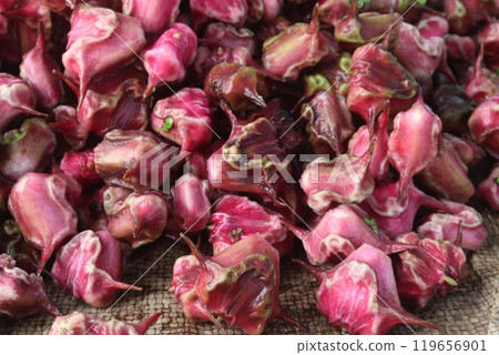 Water Chestnut Trapa natans fruit on shop Water Chestnut Trapa natans fruit on shop 119656901