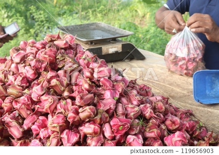 Water Chestnut Trapa natans fruit on shop Water Chestnut Trapa natans fruit on shop 119656903