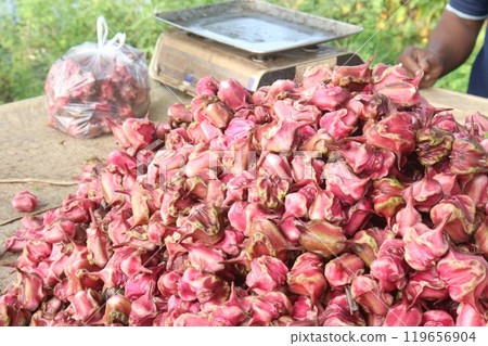 Water Chestnut Trapa natans fruit on shop Water Chestnut Trapa natans fruit on shop 119656904