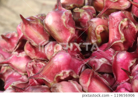 Water Chestnut Trapa natans fruit on shop Water Chestnut Trapa natans fruit on shop 119656906