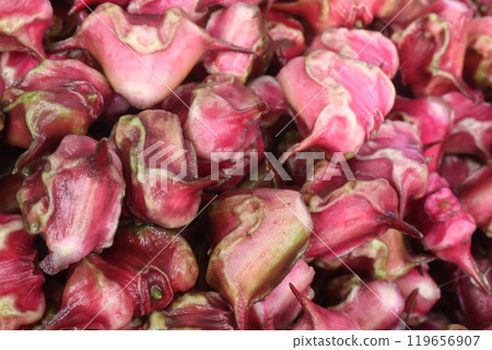 Water Chestnut Trapa natans fruit on shop Water Chestnut Trapa natans fruit on shop 119656907