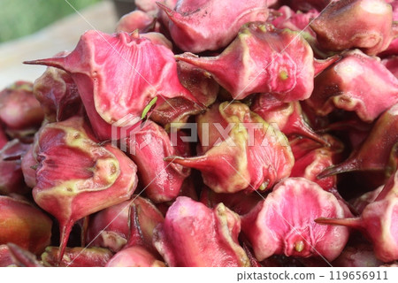 Water Chestnut Trapa natans fruit on shop Water Chestnut Trapa natans fruit on shop 119656911