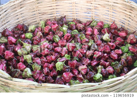 Water Chestnut Trapa natans fruit on shop Water Chestnut Trapa natans fruit on shop 119656919