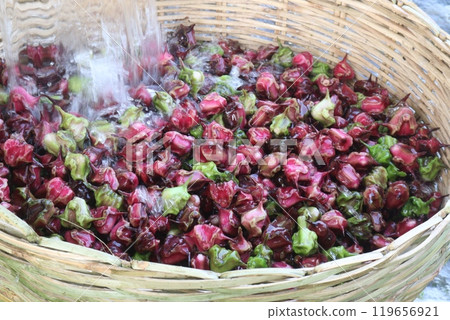 Water Chestnut Trapa natans fruit on shop Water Chestnut Trapa natans fruit on shop 119656921