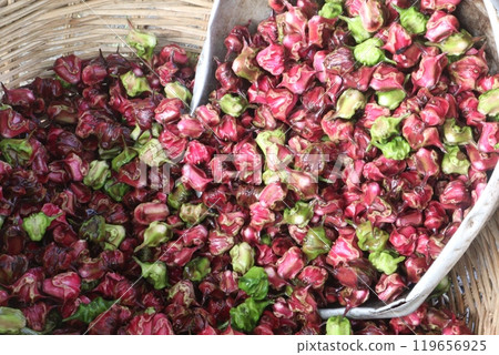 Water Chestnut Trapa natans fruit on shop Water Chestnut Trapa natans fruit on shop 119656925