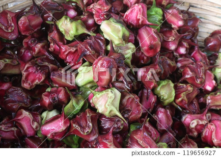 Water Chestnut Trapa natans fruit on shop Water Chestnut Trapa natans fruit on shop 119656927