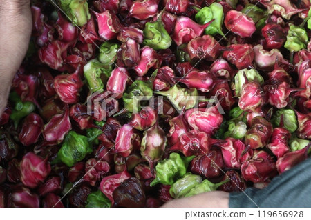 Water Chestnut Trapa natans fruit on shop Water Chestnut Trapa natans fruit on shop 119656928