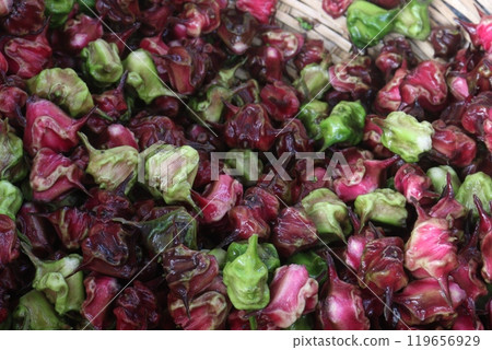 Water Chestnut Trapa natans fruit on shop Water Chestnut Trapa natans fruit on shop 119656929